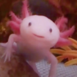 Avatar de Usuario