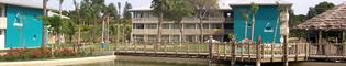 Temática Hotel Caribe: Conoce el hotel, sus jardines, sus pasillos, su tematización...