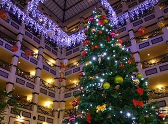 Navidad en el Hotel Gold River