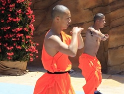 Los Shaolin de Shambhala