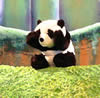 Xian-Mei y el Pequeño Panda