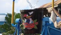 La Laguna de Woody