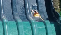 Rapid Race