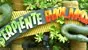 Serpiente Emplumada