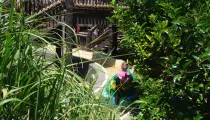 Canoes