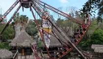 Kon-Tiki Wave