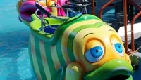 Magic Fish