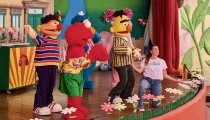 Sesame Street Summerfest