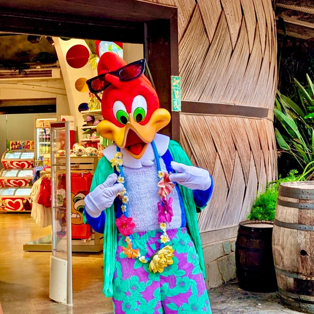 Woody Woodpecker con estilo surfero completo