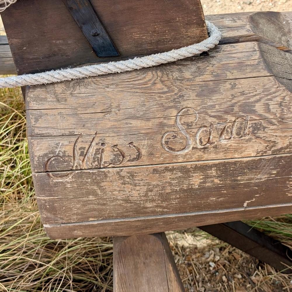 Caballito de madera frente a la Penitence School con el nombre Miss Sara OToole