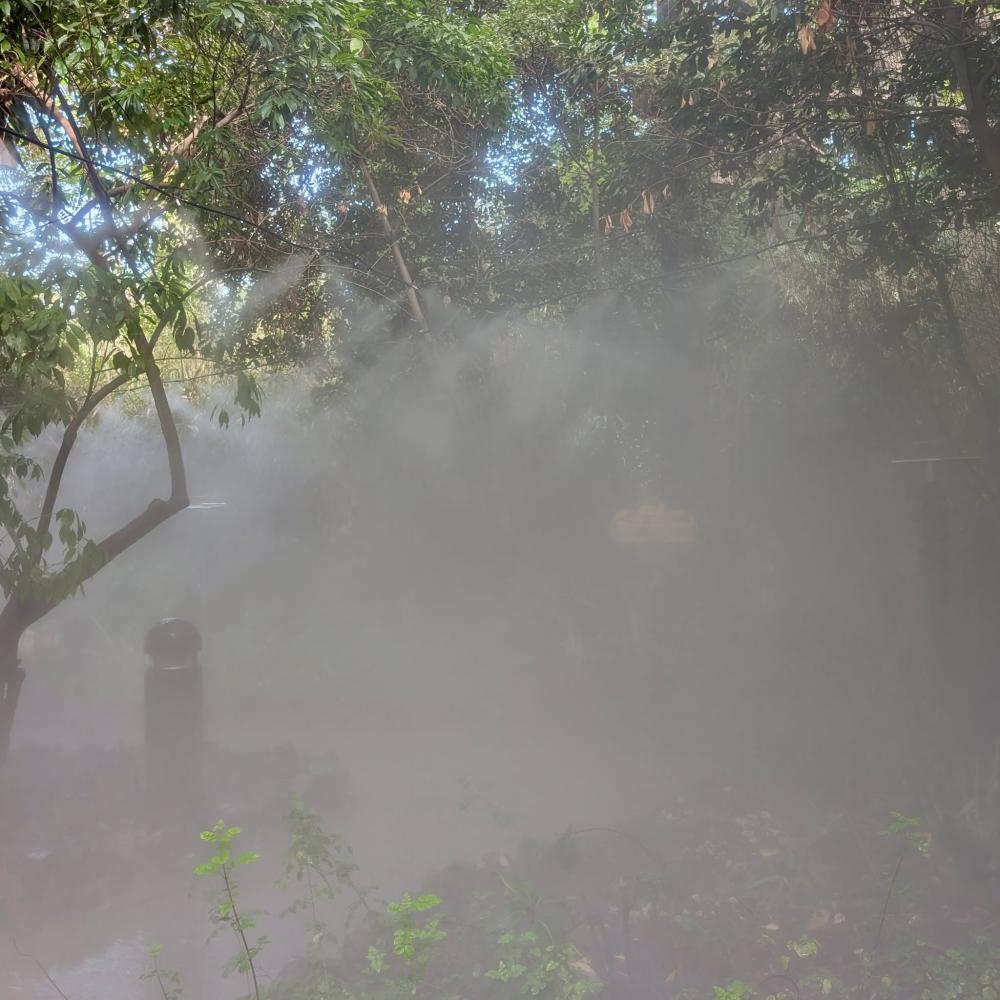 Refresh Point de Makamanu Jungle con ambientación que recuerda a la Selva del Miedo