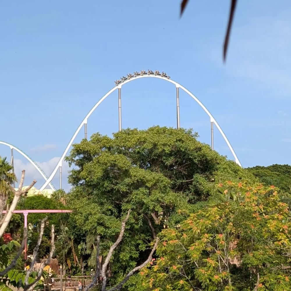 Vistas de Shambhala desde Makamanu Jungle
