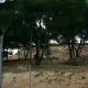 Las obras del Beach Club avanzan