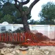 Continúa la construcción del Beach Club
