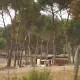 El Beach Club a punto de abrir