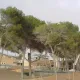 El Beach Club a punto de abrir