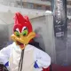 Dona sangre con PortAventura