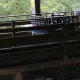 Stampida prueba sus nuevos trenes