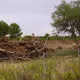 Golf y viviendas ya en construcción