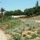 Nuevo vial hacia el Hotel PortAventura