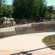 Nuevo vial hacia el Hotel PortAventura