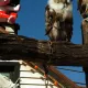 Comienza el montaje de Halloween