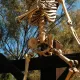 Comienza el montaje de Halloween