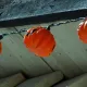 Comienza el montaje de Halloween