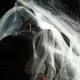 Comienza el montaje de Halloween