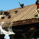 Comienza el montaje de Halloween