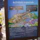 La Navidad empezó con un día solidario