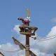 Gran inauguración de la nueva área de Costa Caribe y King Khajuna