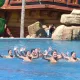 Gran inauguración de la nueva área de Costa Caribe y King Khajuna
