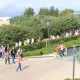 1a Jornada Aficionados a los Parques Temáticos