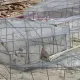 Visita a la construcción de Angkor