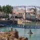 La construcción de Furius Baco