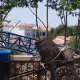 La construcción de Furius Baco