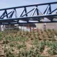 La construcción de Furius Baco