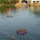 La construcción de Furius Baco