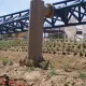 La construcción de Furius Baco