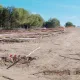 La construcción de Furius Baco