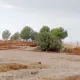 La construcción de Furius Baco