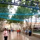 La construcción de Furius Baco