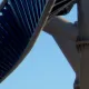 La construcción de Furius Baco