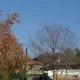 La construcción de Furius Baco