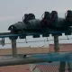 La construcción de Furius Baco
