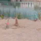 La construcción de Furius Baco
