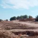 La construcción de Furius Baco