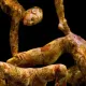 Cirque du Soleil y PortAventura presentan Kooza en verano 2014