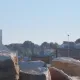 Nueva atracción PortAventura 2014